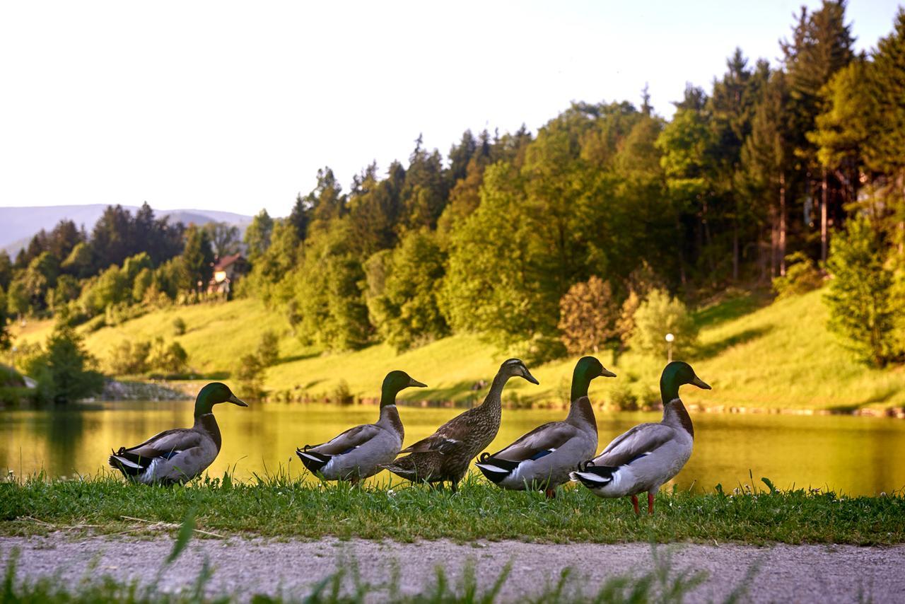 Terme Zrece - Vile Terme Zreče Exterior foto